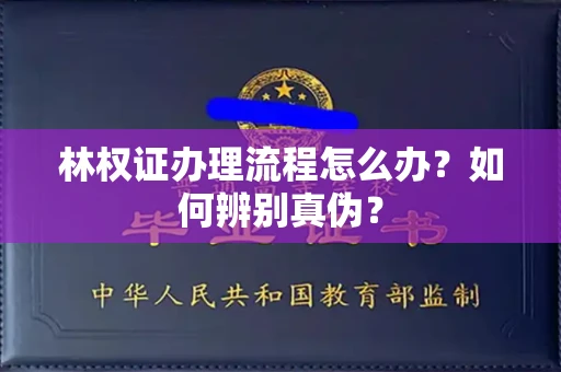 宁波林权证办理流程怎么办?如何辨别真伪?