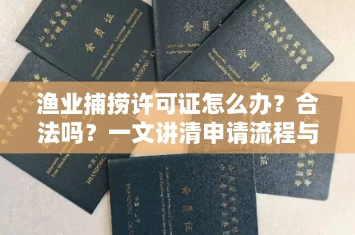 宁波渔业捕捞许可证怎么办?合法吗?一文讲清申请流程与合规要点